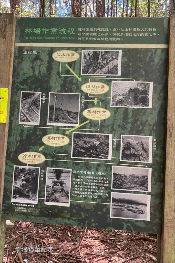 【谷關七雄】八仙山主峰步道_2894874