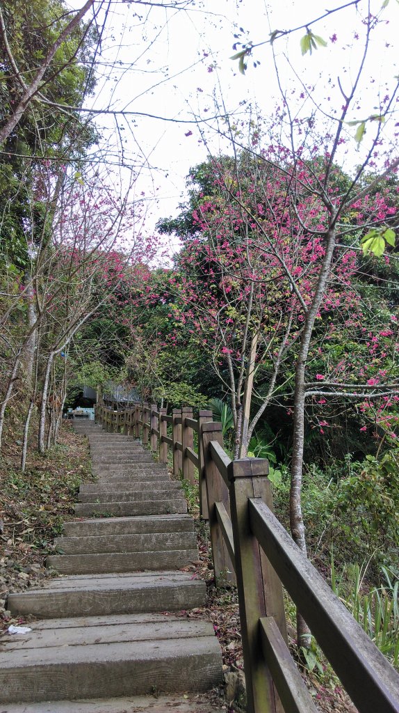 松腳~獨立山~大巃頂~孝子步到~太平老街_818289