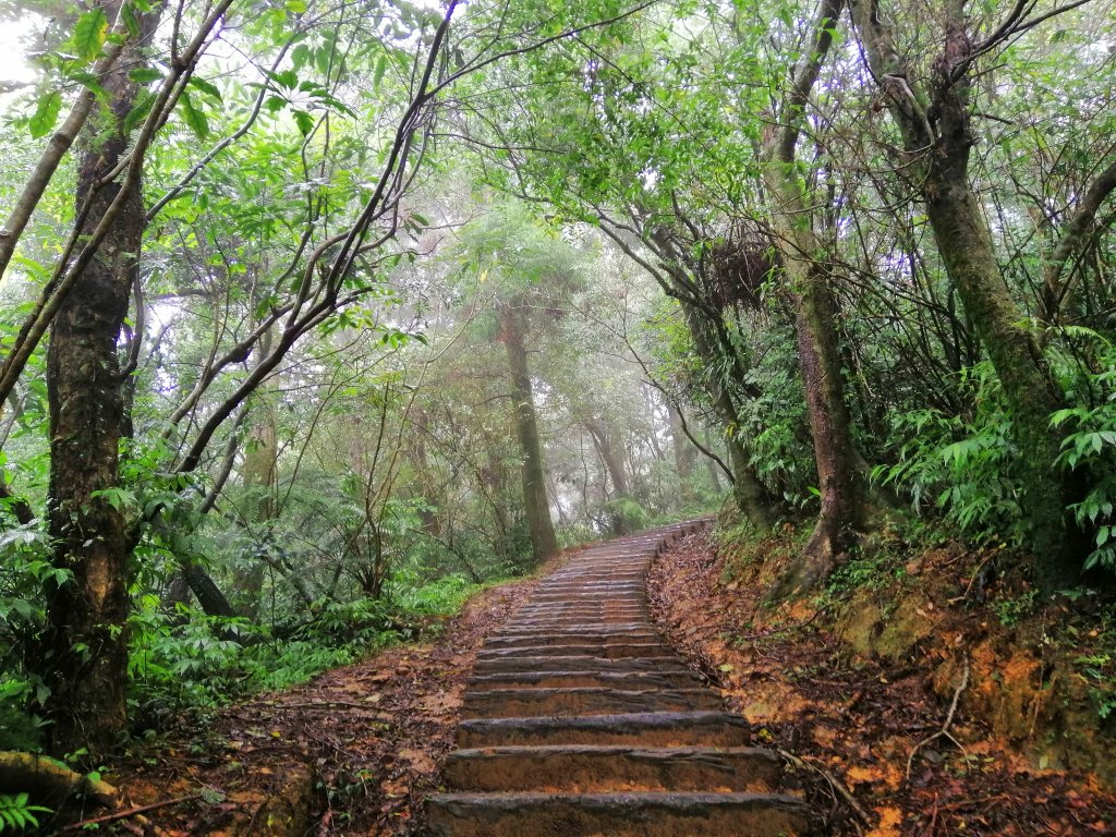 基隆七堵~雨霧中散步。 #小百岳姜子寮山封面圖