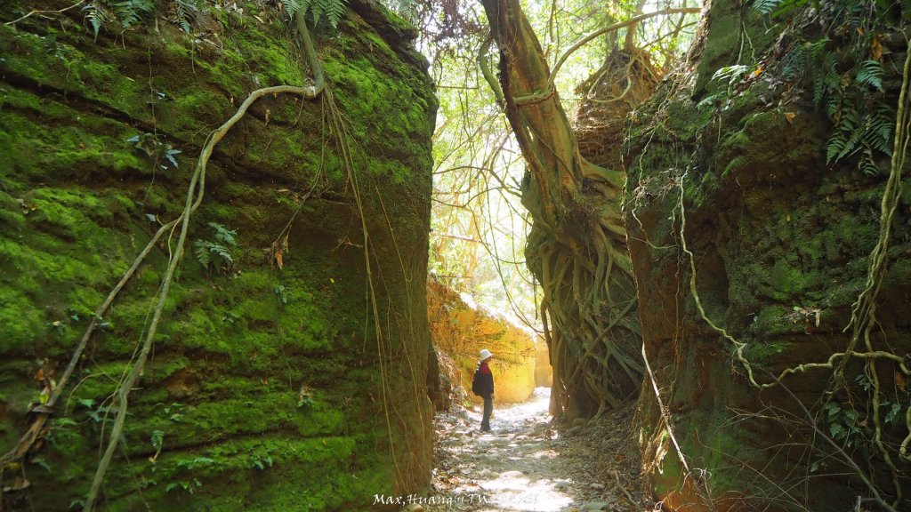 《彰化》原始峽谷｜八卦山一線天步道20250228封面圖