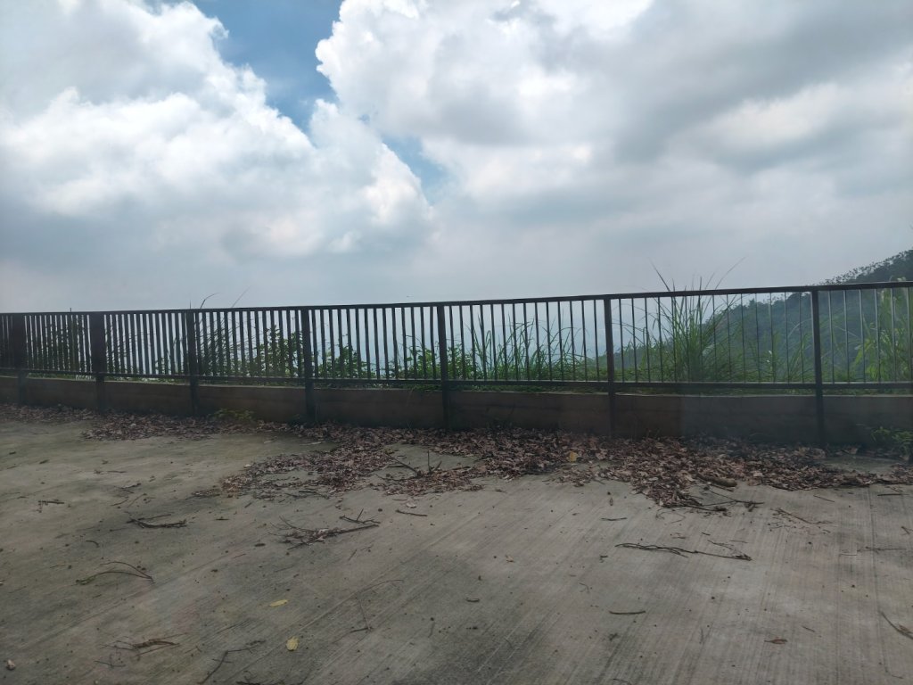 阿里山森林小火車_2865154