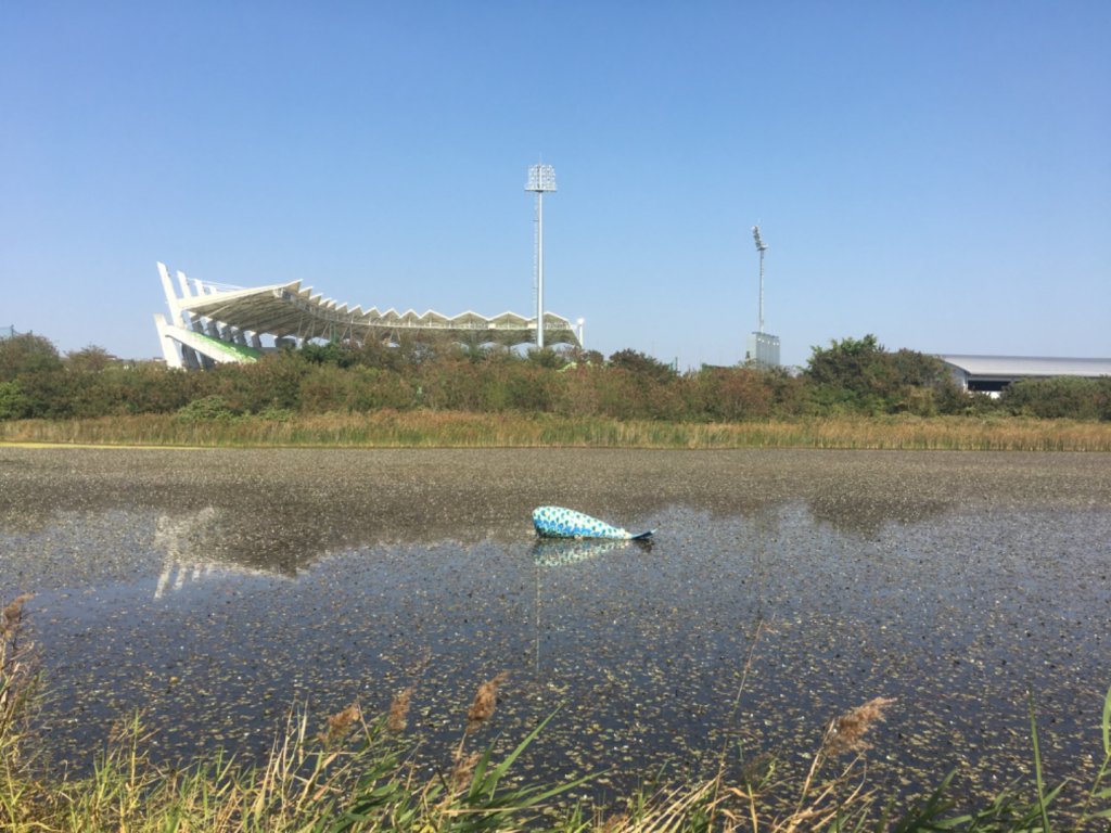 台灣歷史博物館封面圖