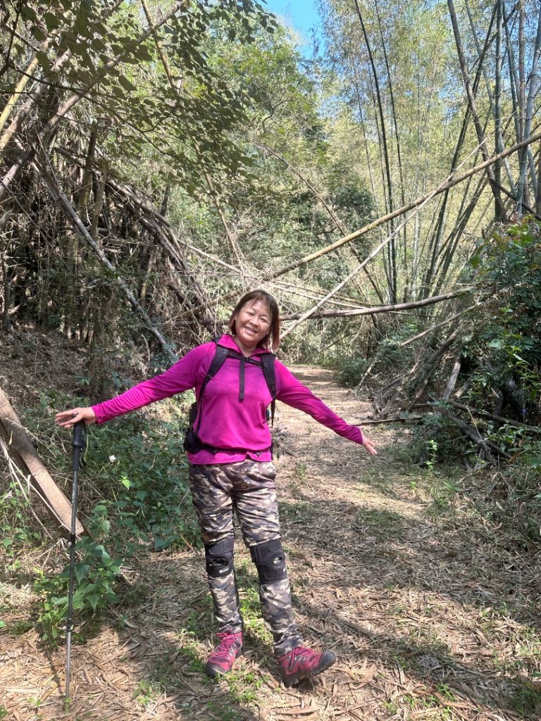 高雄美濃月光山_2734910