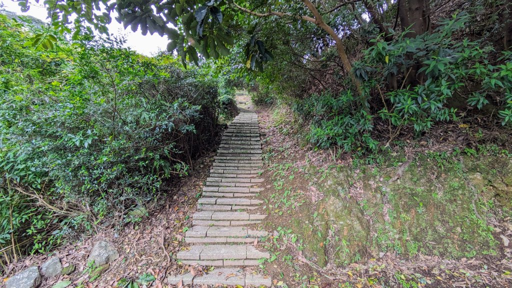 石門茶山步道_2396522