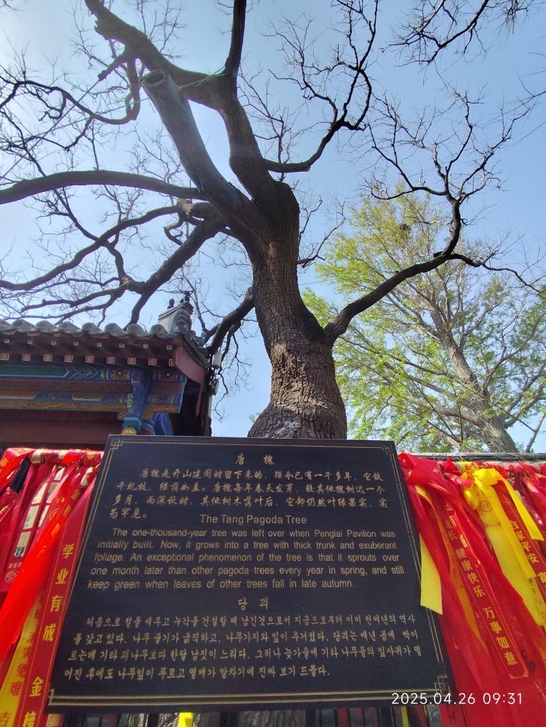 中國山東煙台蓬萊閣風景區_2779454