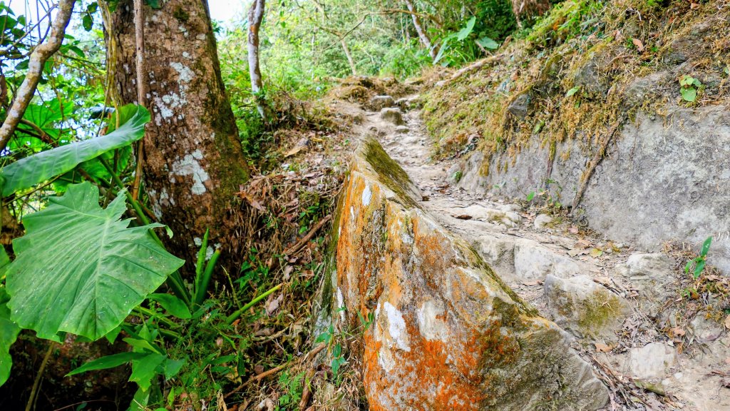 梅嶺竹子尖山_2987434