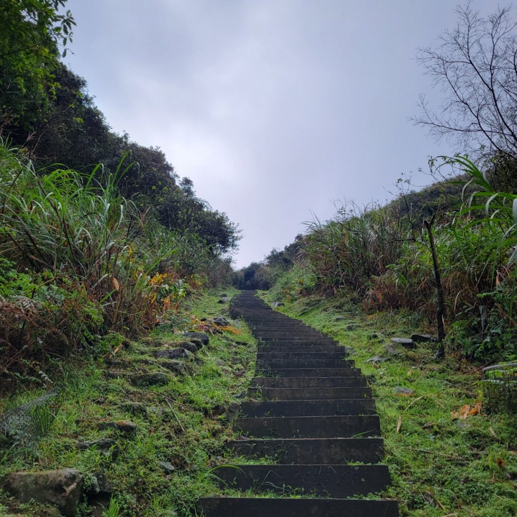 百二崁古道_1621011