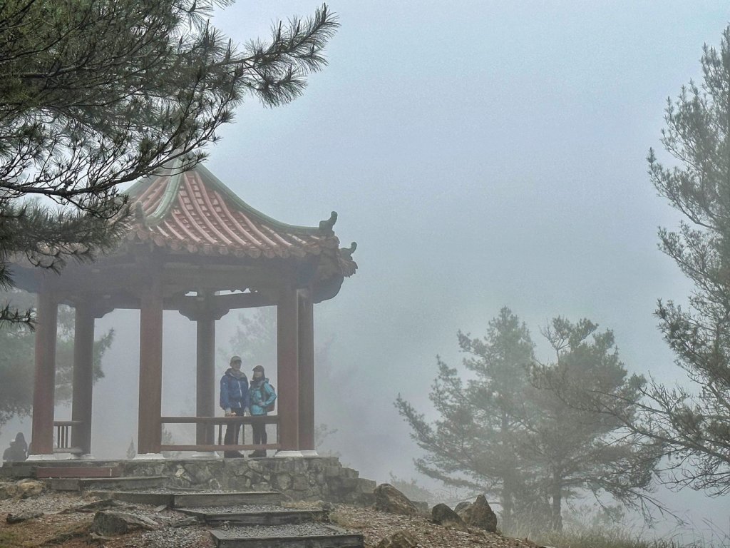大雪山 神木 天池 春遊賞花_2115136