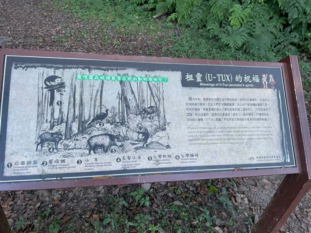 雙十霞喀羅_1484694