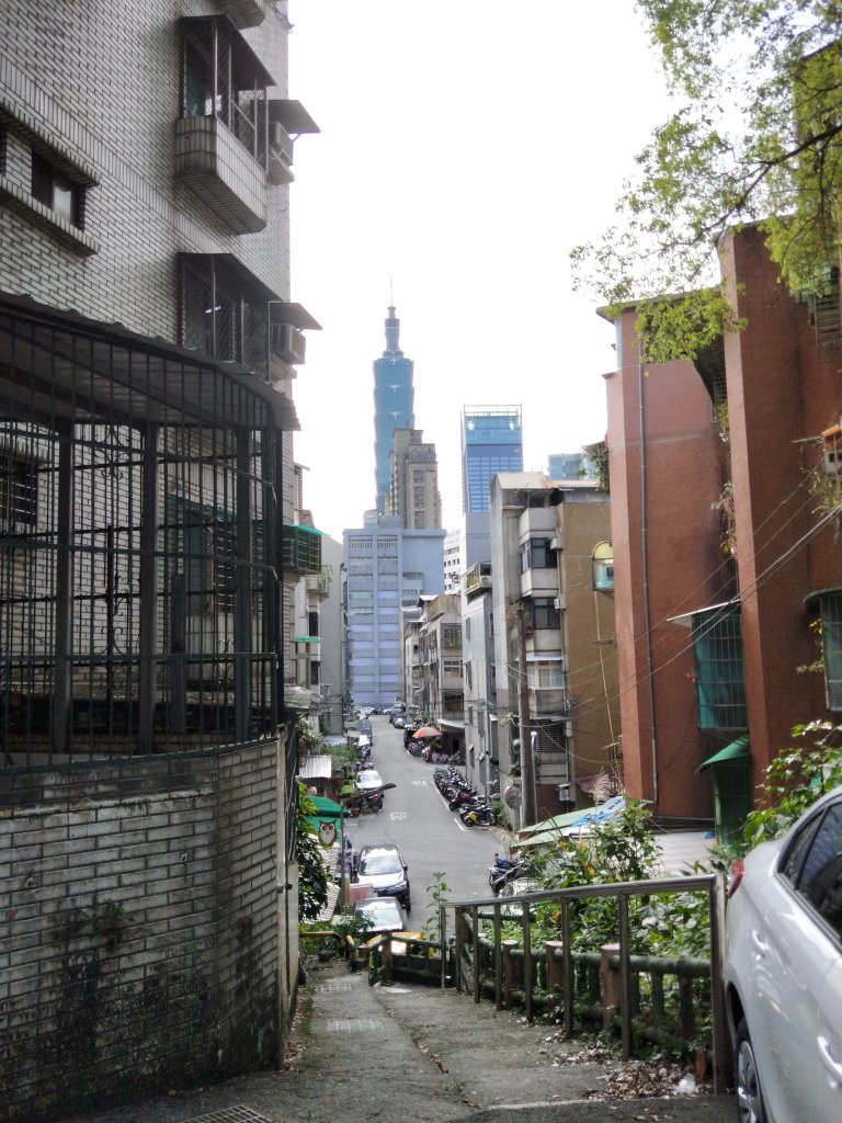 南港山縱走親山步道(拇指山、南港山、象山、九五峰)_1679323