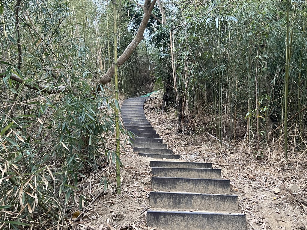 豐原萬里長城步道落成體驗 加大坑6 9號大胡山 聚興山連走_2448332