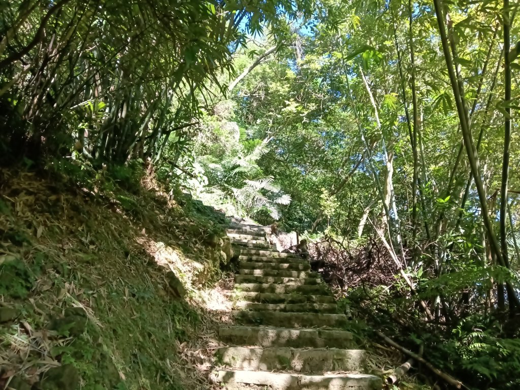 汐止區白雲古道+白雲寺O型_2911957