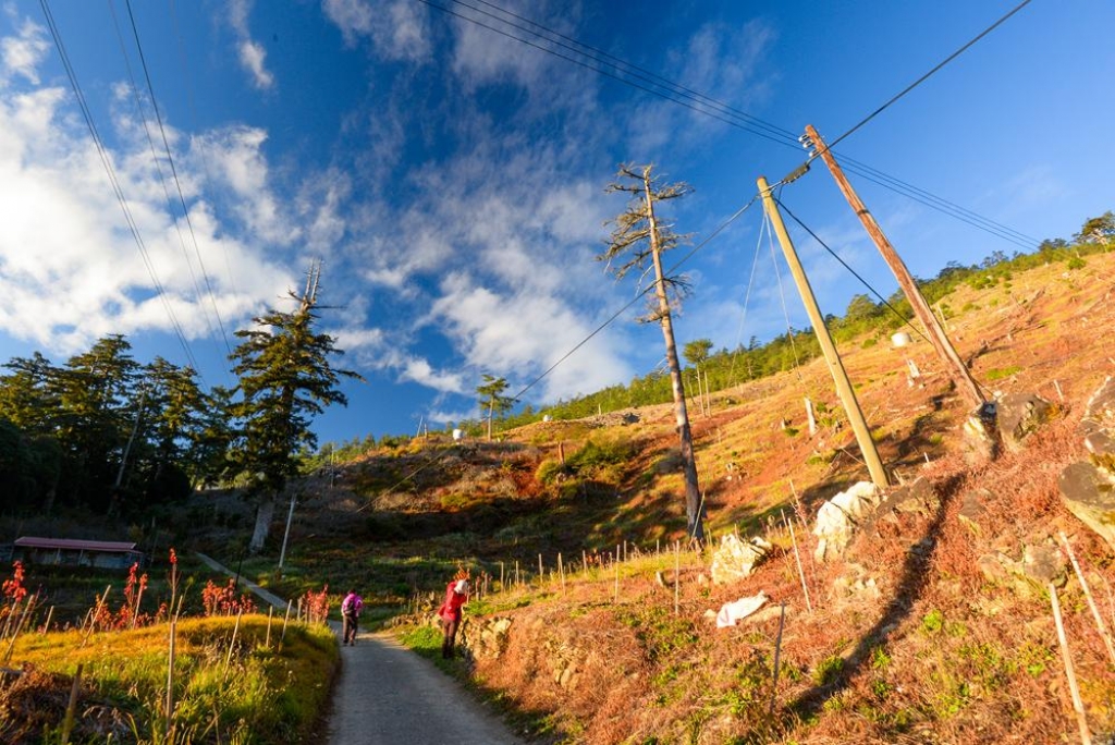 天巒池 plus 武法奈尾山_11260