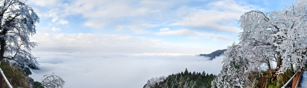 #霧淞 #雲海 #雲瀑 #霧虹 #太平山 #望洋山 #觀雲步道 #翠峰道路  2/8_2995312