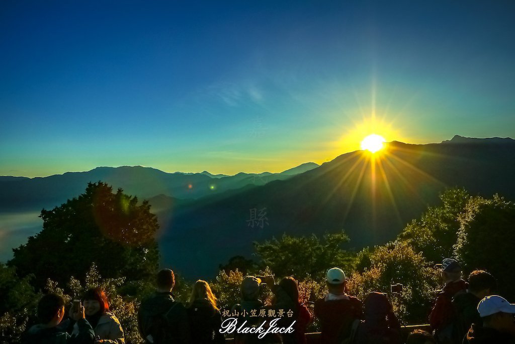 阿里山半日遊_428958