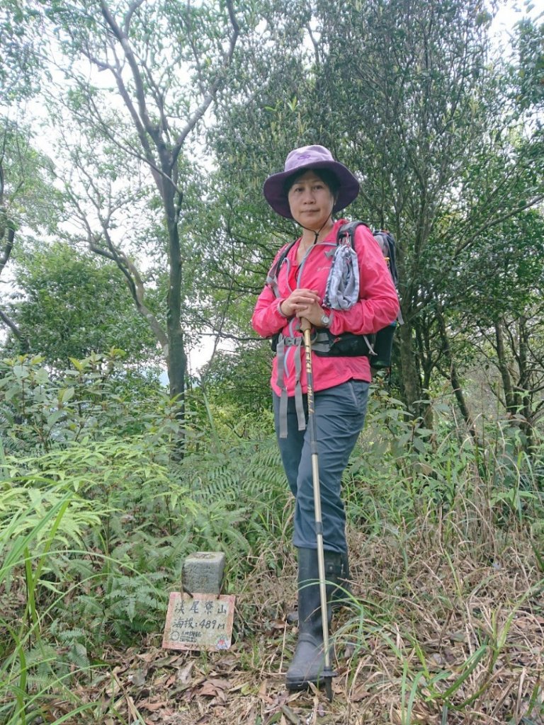璀璨百年淡蘭古道～崩山坑古道、溪尾寮山、保城坑古道、虎豹潭步道O走_1313409