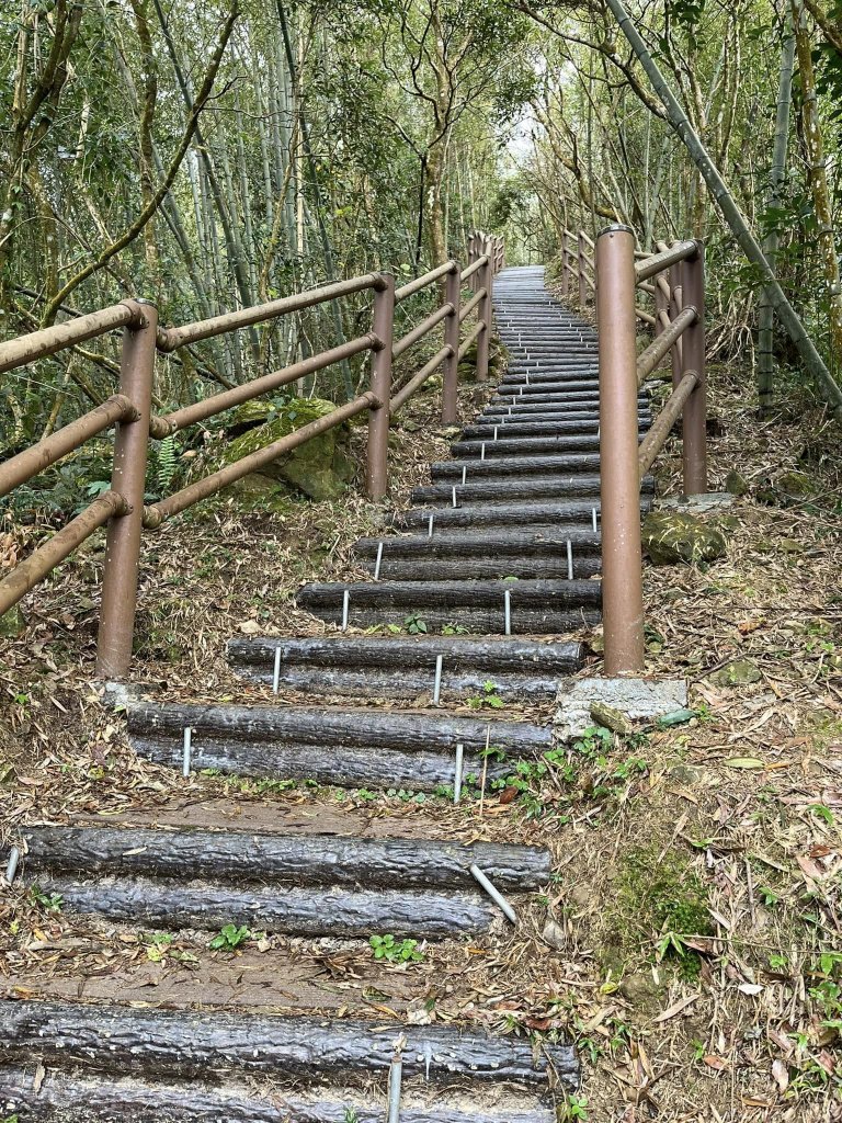 雲嘉五連峰健行_2679862