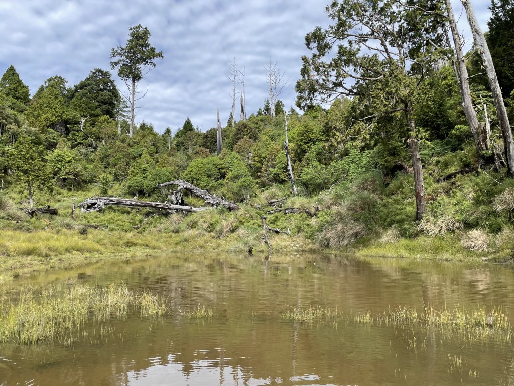 太加縱走~加羅湖的夢幻之旅_1753981