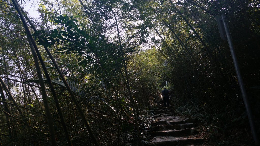 雲嘉七連峰縱走_1289796