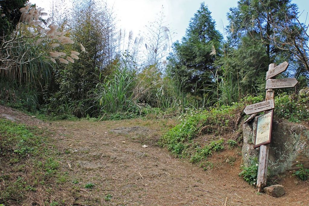 馬那邦山(珠湖線來回)_375016