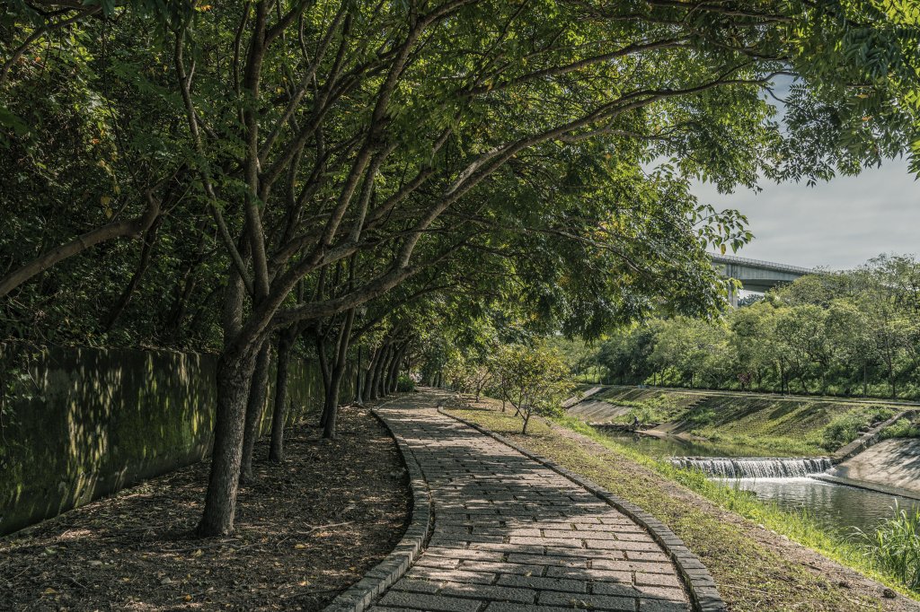 關西牛欄河親水公園/東安古橋_1436929