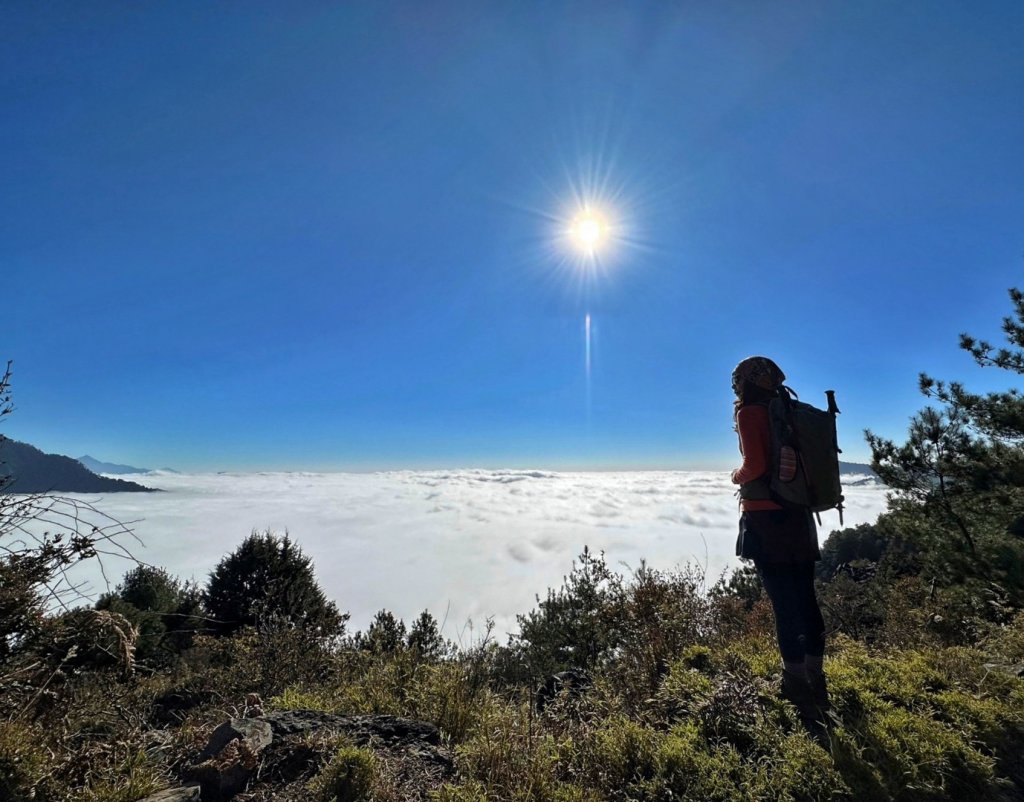 玉山前峰 漫步雲端 草坪頭賞花_2010373