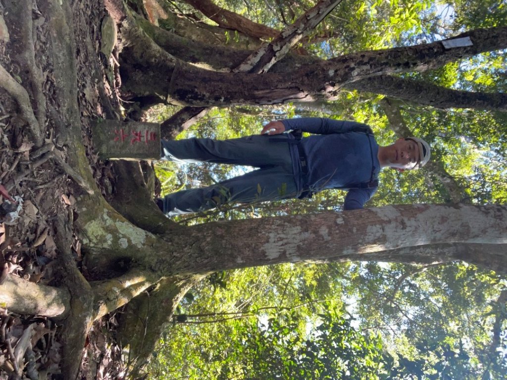 20251116_鳴海山（高雄小百岳）_2941566