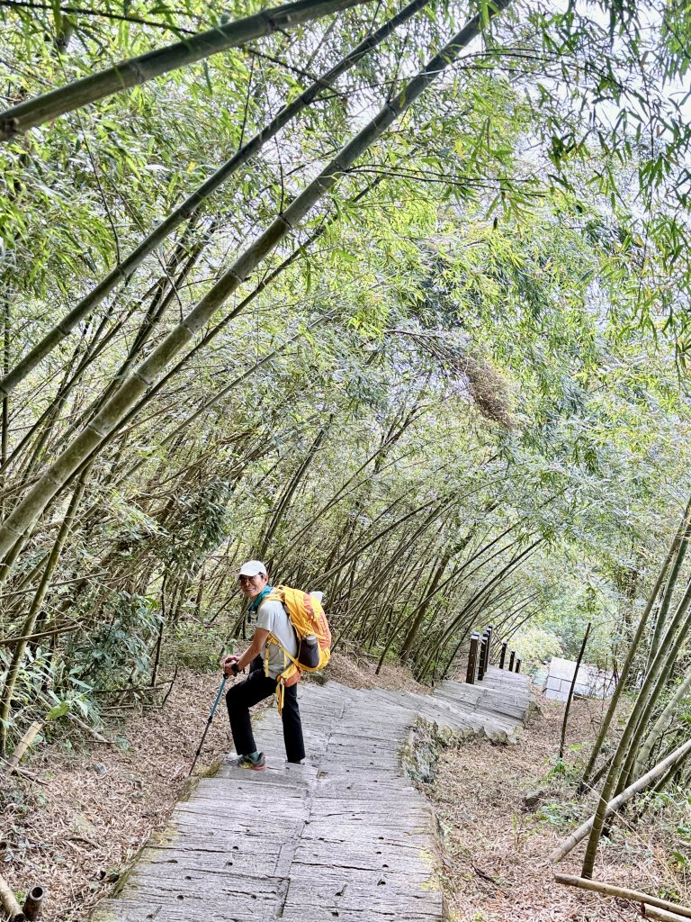 二尖.大尖山悠遊--好友再聚的茶園餘韻   2026.01.18_2985495