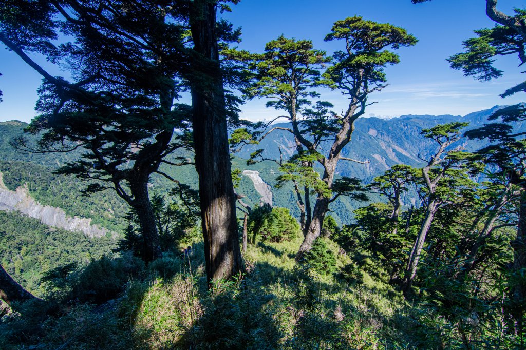 塔關山/南橫三星百岳_1819427