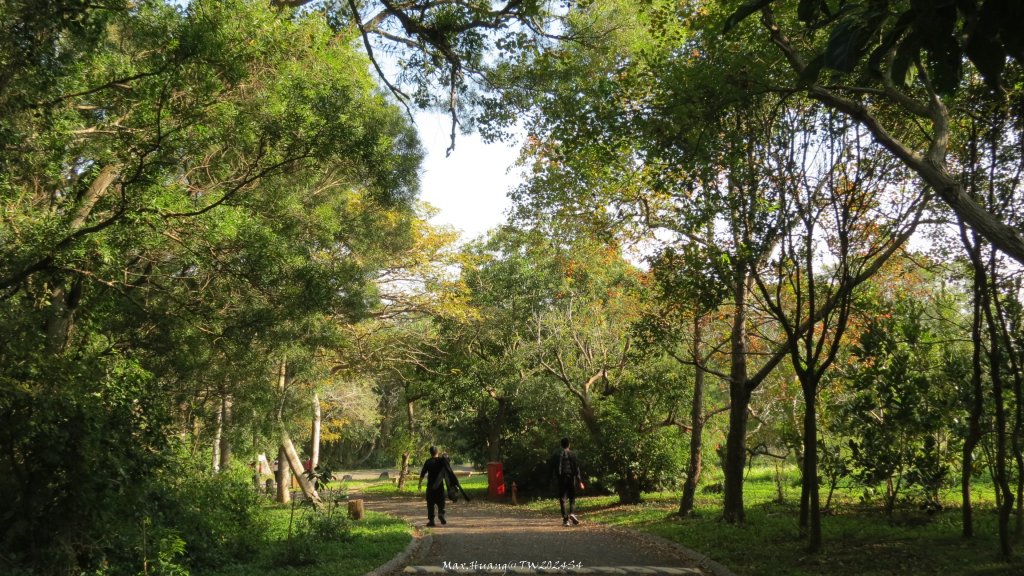 《台中》森林冬陽｜大肚山台中都會公園O繞20241229_2678732