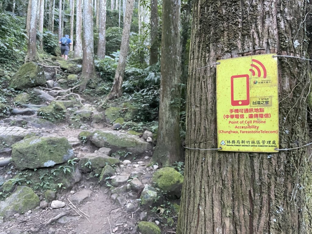 小百岳編號30-五指山112.11.04(原路折返)_2336902