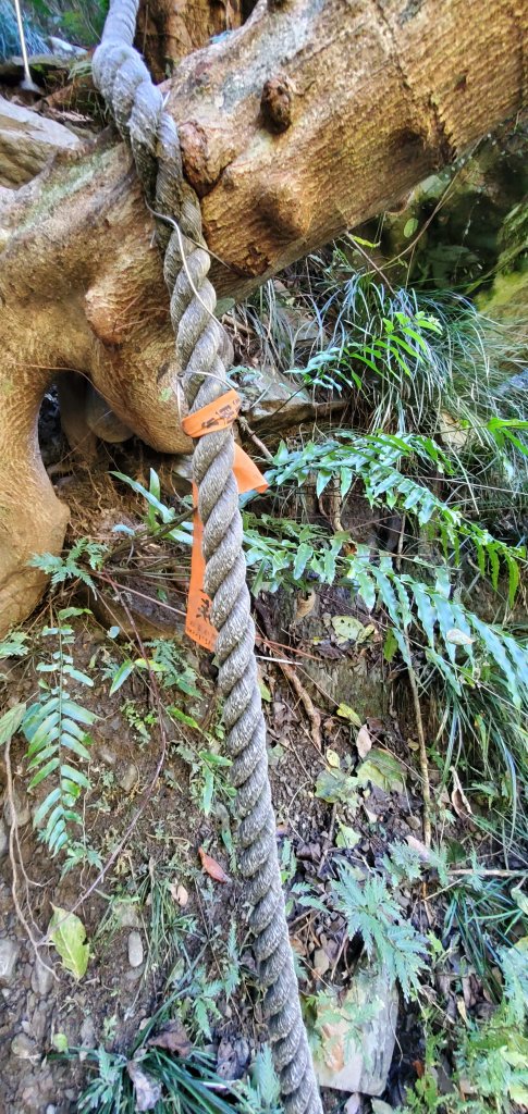 2023-01-26女仍山步道_2011016