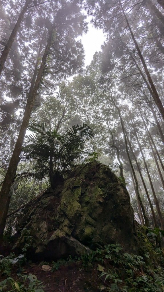 向天湖山步道 (大 O：含三角湖山、光天高山)_2664974