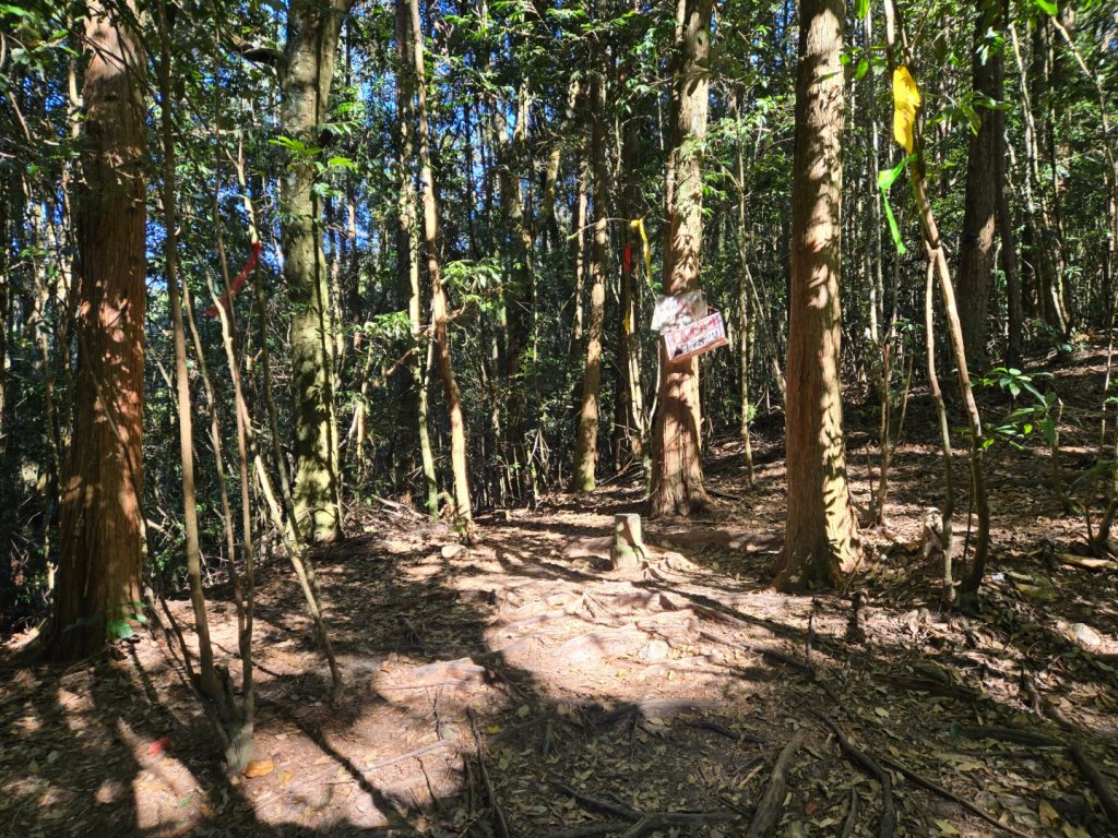 屋我尾山（谷關七雄）_2664189
