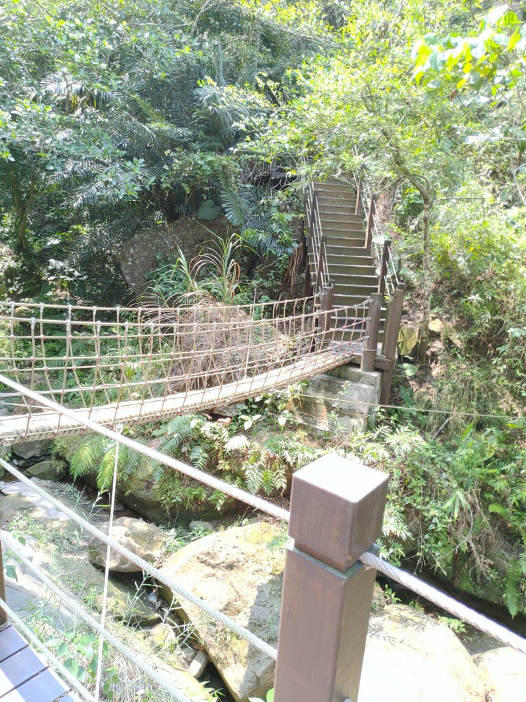 蝙蝠洞延伸步道_20230501_2144914