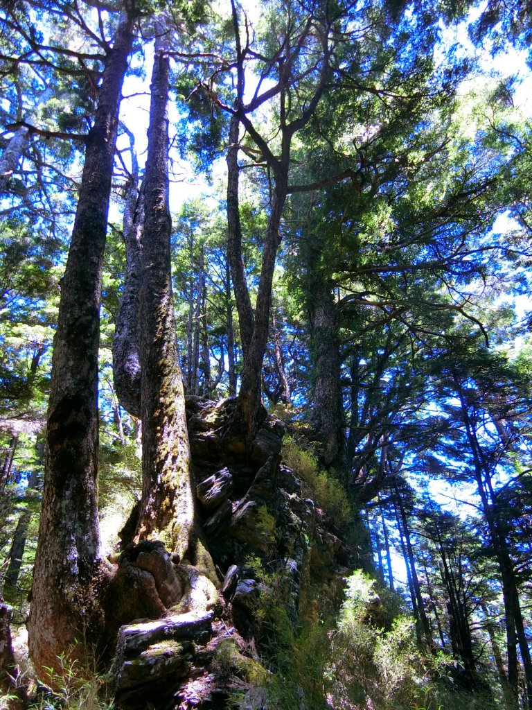 畢祿羊頭單攻之旅._636971