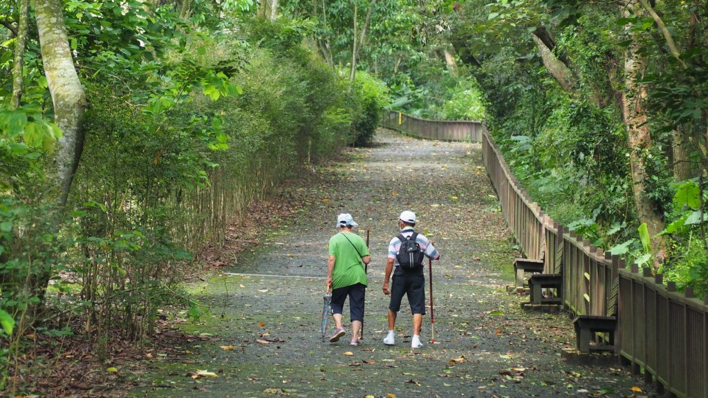 《彰化》玉蘭花香｜赤水崎公園步道及松柏坑山20230806封面圖