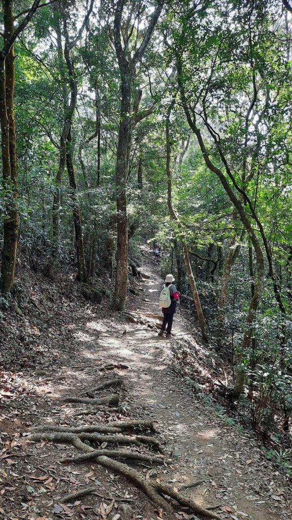 《苗栗》馬那邦山｜ 上湖線＞天然湖O巡20210220_1277358
