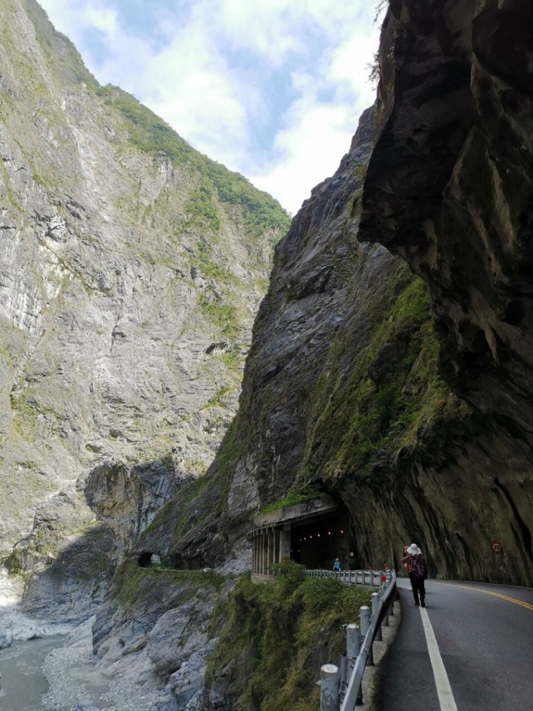 九曲洞步道再走中橫公路到燕子口_708823