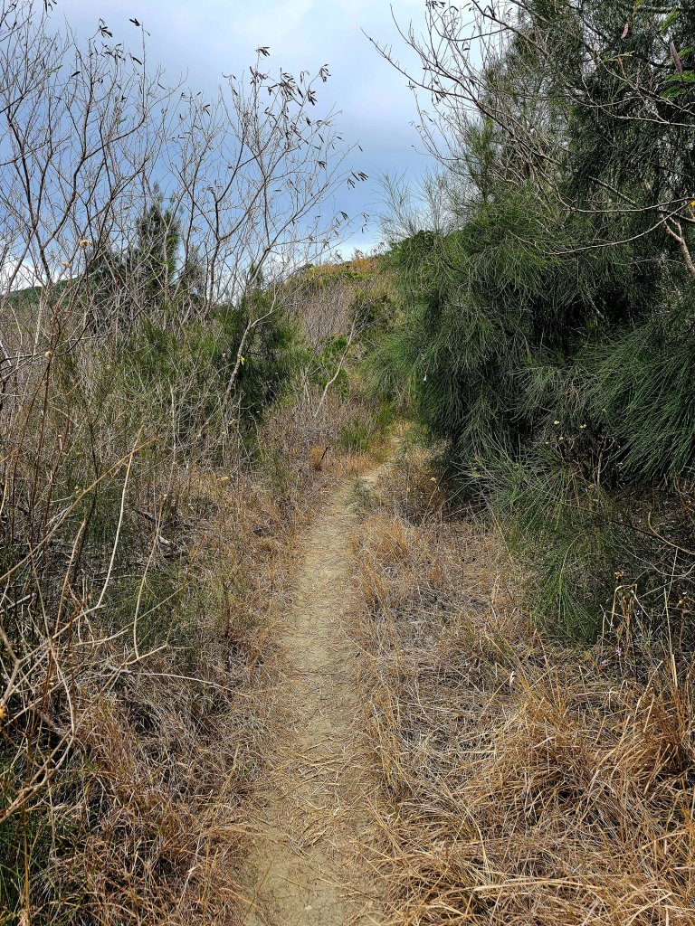 小百岳集起來-大山母山封面圖