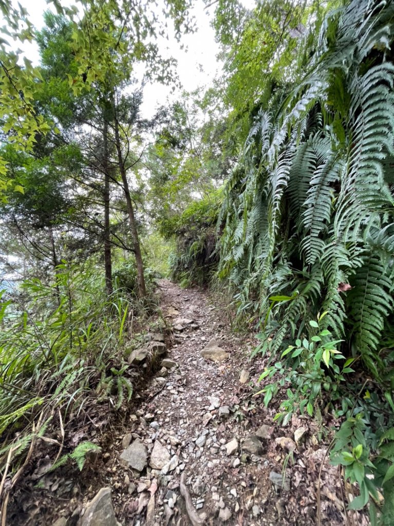 2022谷關七雄，慢旅臺中-馬崙山 0911_1841169