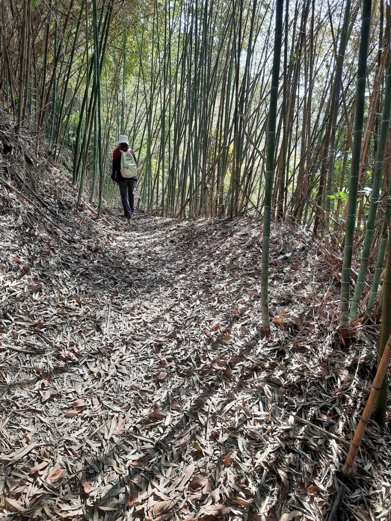 《南投》八通關古道（社寮線蜈蚣崙段）O型20210117_1239155