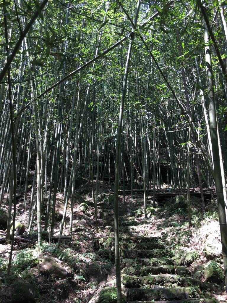 20160925_四大天王步道_873550