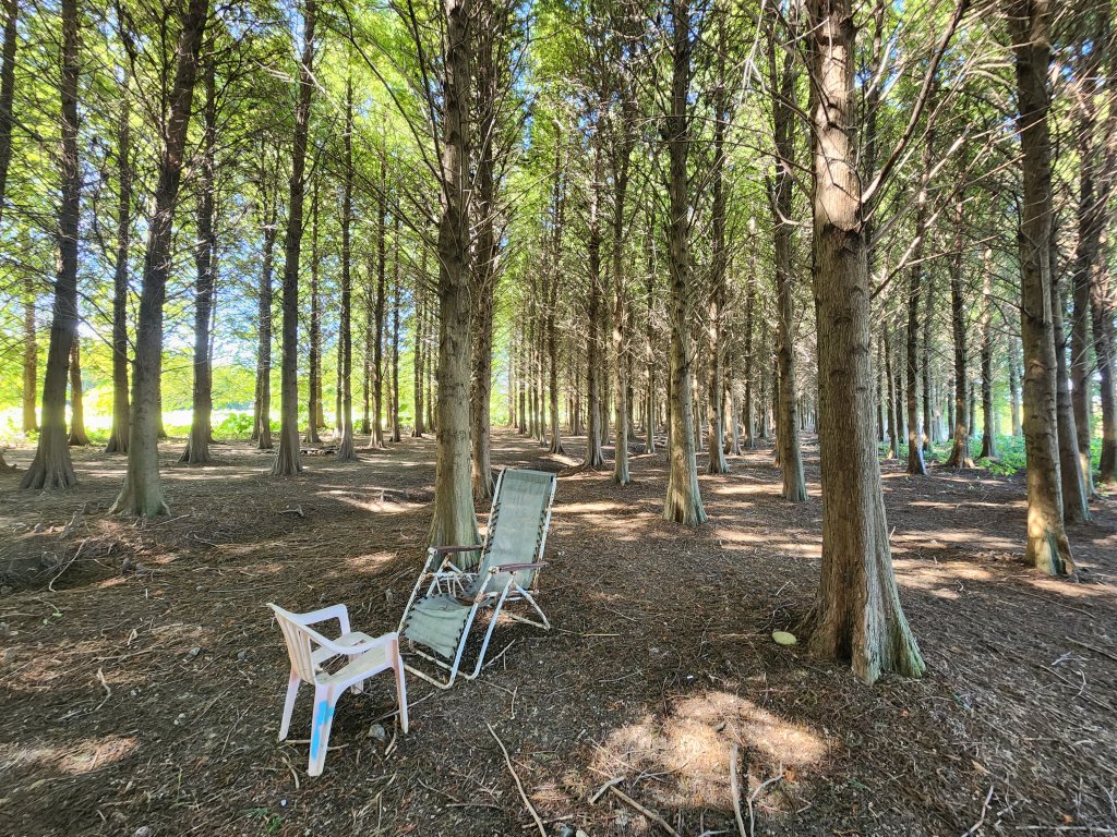 20241019 Ubike 湖口 ~ 大溪封面圖