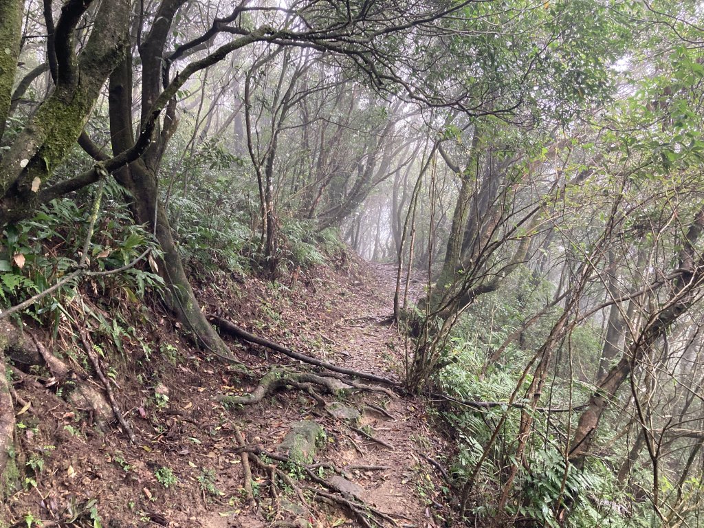 獅仔頭山登山步道_2437078