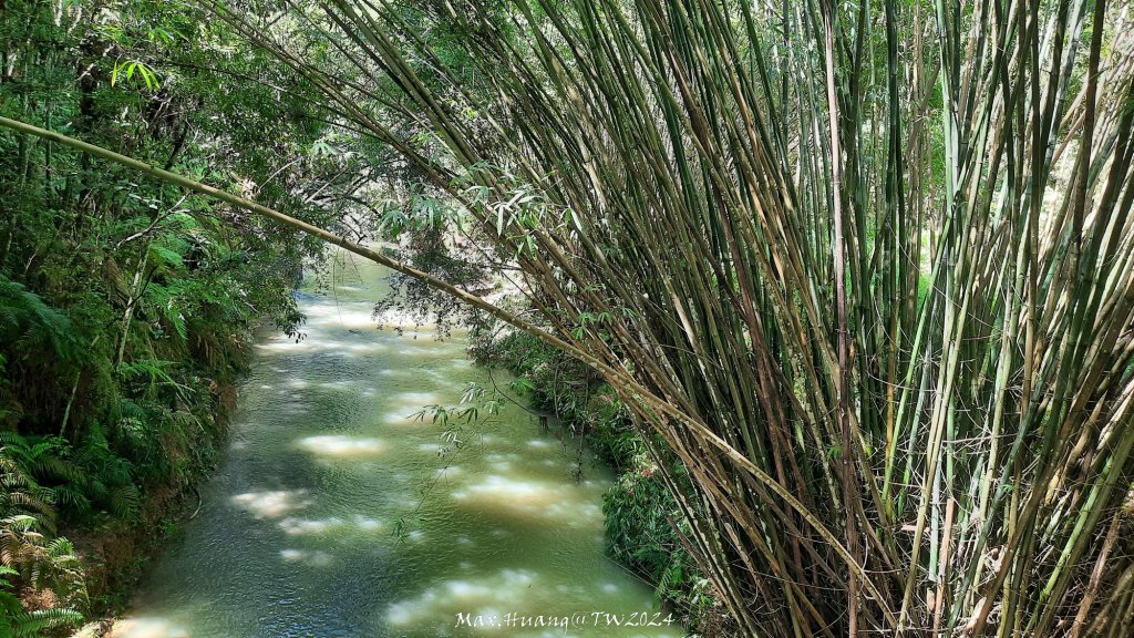 《南投》侏儸紀公園｜魚池澀水森林步道O繞20240629_2538426