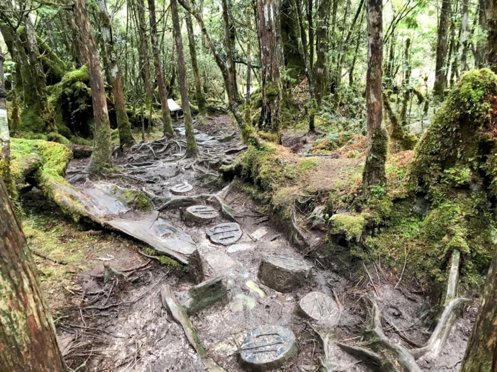 雨霧散遊太平山_885924