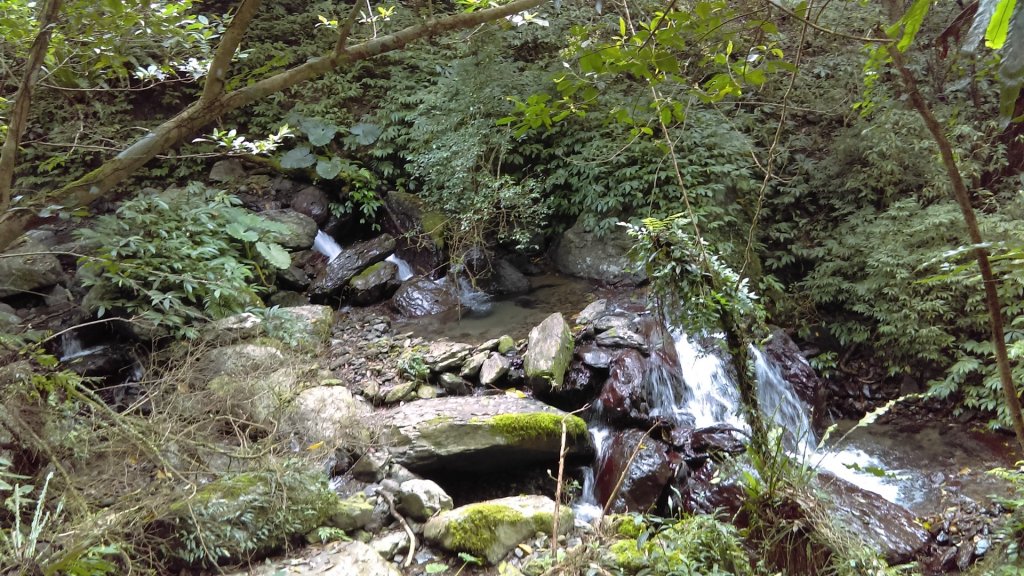 心之所嚮的礁溪聖母峰－抹茶山_880505