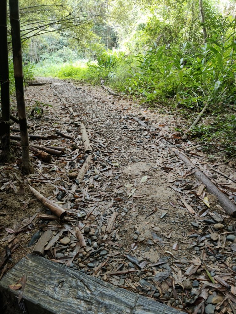 步道巡訪員 l 1023 日澀水森林步道巡訪_1140616