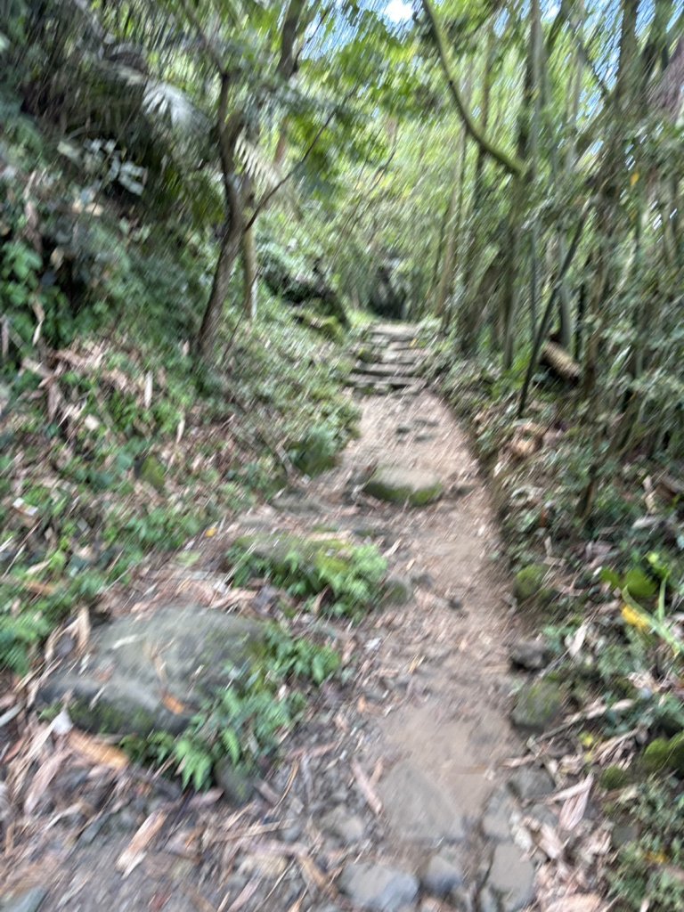 20250830台南關仔嶺大凍山步道_2914688